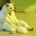 Kucing comel duduk seperti manusia