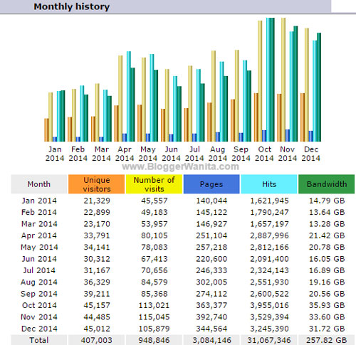 Statistik Trafik Blog BloggerWanita.com tahun 2014