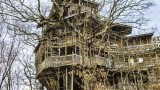 Rumah Pokok Tertinggi Di Dunia Rumah Pokok Tertinggi Di Dunia